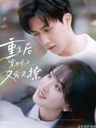 《重生后京圈太子又宠又撩》剧情介绍