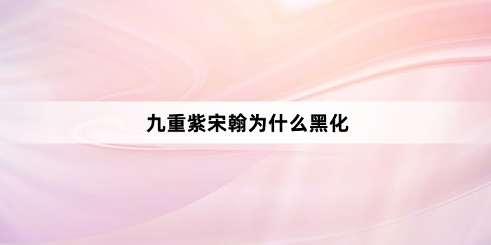 九重紫宋翰为什么黑化