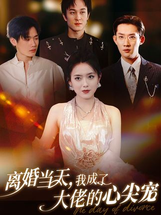 《离婚当天,我成了大佬的心尖宠》剧情介绍