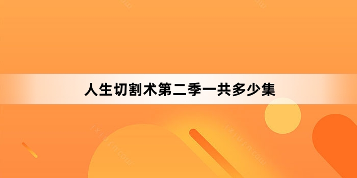 人生切割术第二季一共多少集