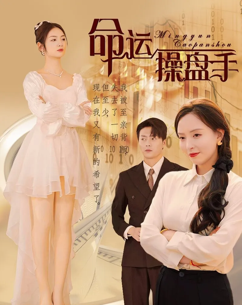 《命运操盘手》剧情介绍
