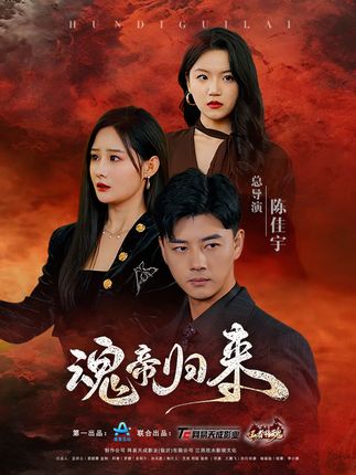 《魂帝归来》剧情介绍