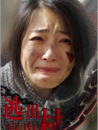 《逃出盲山村》剧情介绍