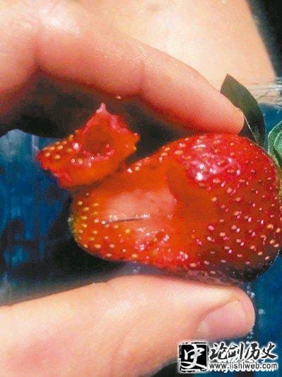 澳洲草莓插针事件是怎么回事？