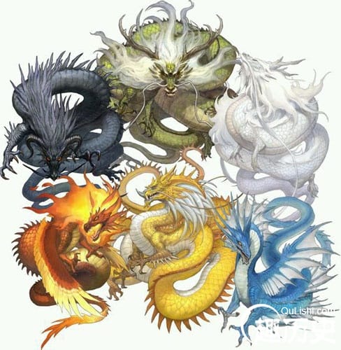 中国神话中的龙一般分哪几种？